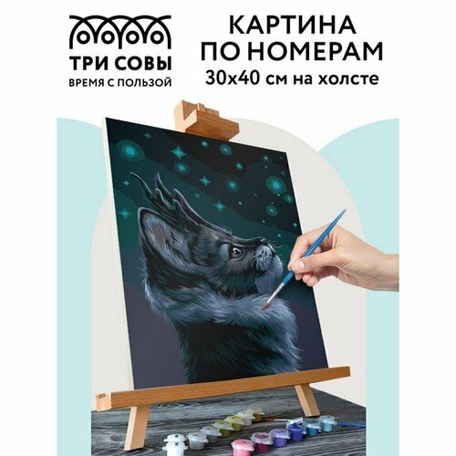 Картина по номерам на холсте 30 × 40 см «Мистический кот», с акриловыми красками и кистями (комплект из 2 шт)