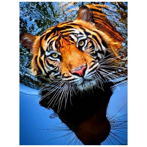 Картина по номерам Paintboy VA-0442 Купающийся тигр 40х50см