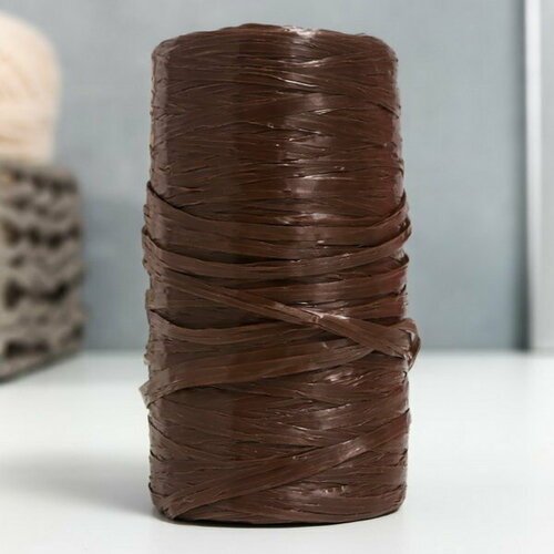 Пряжа 'Для вязания мочалок' 100% полипропилен 300м/75+-10 гр в форме цилиндра, 5 шт.