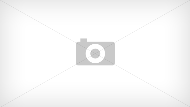 Фигурка из папье-маше объемная Единорожек 12*4*16,5см (AP147)