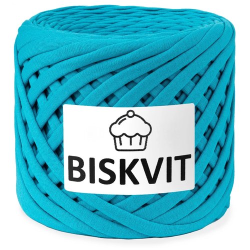 Нить вязальная Biskvit Biskvit, 100 % хлопок, 300 г, 100 м, 1 шт., 312 темно-бирюзовый 100 м