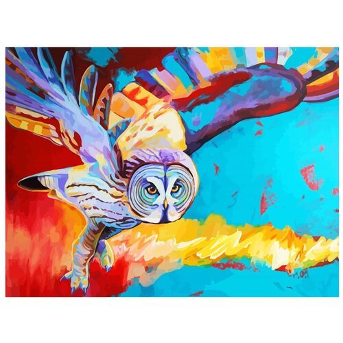Color Kit Картина по номерам 'Полет совы' (KS052)40x30см