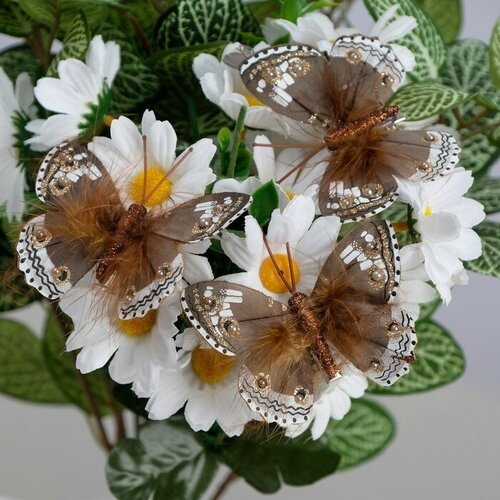 Бабочки для декора и флористики, на прищепке, пластиковые, коричневые, микс, 5 см и 8 см, 6 штук