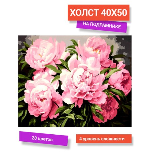 Картина по номерам на холсте 40х50. 'Пионы розовые' Paintboy (GX47263)