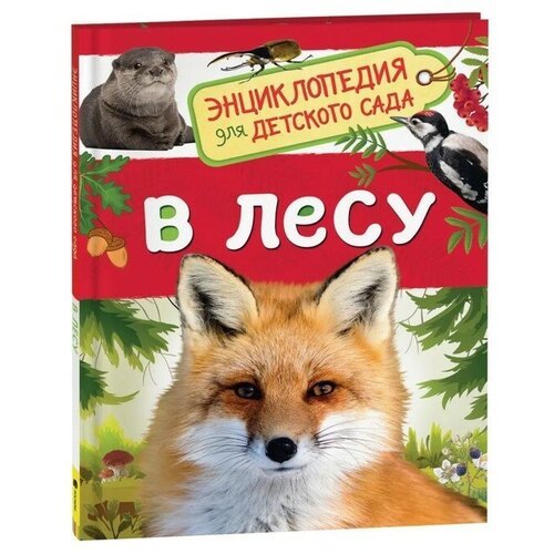 Росмэн Энциклопедия для детского сада «В лесу»