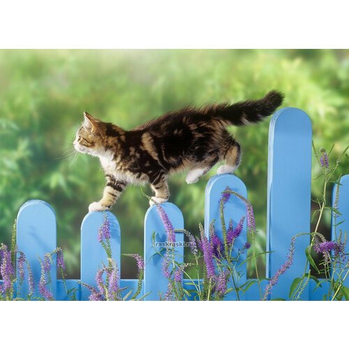 Набор алмазной мозаики 'Кошка на заборе', размер 50х36 см, 53 цвета