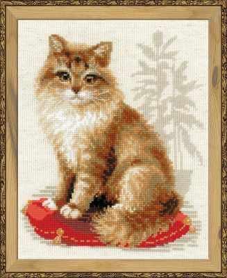 Набор для вышивания Риолис (Сотвори Сама) 1525 'Кошка домашняя'