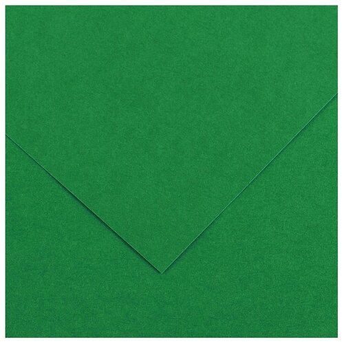 Цветная бумага Iris Vivaldi 120 г/м2 Canson, 50х65 см, 25 л. , №30 зеленый мох