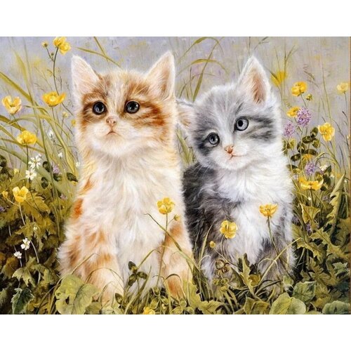 Картина по номерам на холсте 40 х 50 на подрамнике 'Два котенка'