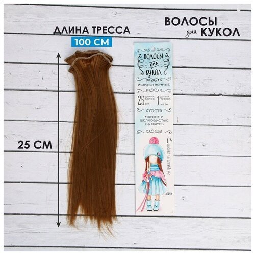 Школа талантов Волосы - тресс для кукол «Прямые» длина волос: 25 см, ширина:100 см, цвет № 27А