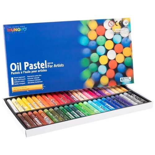 MUNGYO Набор пастели Oil Pastel For Artists, 48 цветов разноцветный