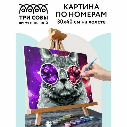 Картина по номерам на холсте 30 × 40 см «Кошачий космос», с акриловыми красками и кистями (комплект из 2 шт)