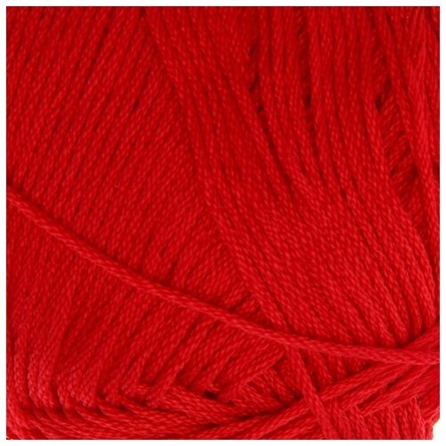 Пехорский текстиль Пряжа 'Детский хлопок' 100%мерсеризованный хлопок 330м/100гр (06-Красный)