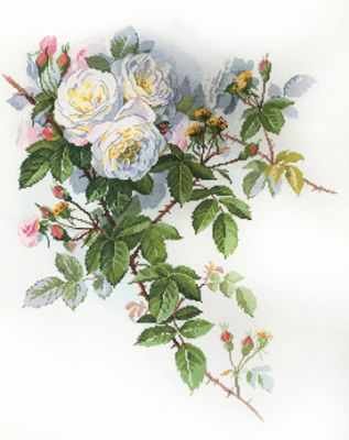 Набор для вышивания Марья искусница 06.002.45 Белые розы