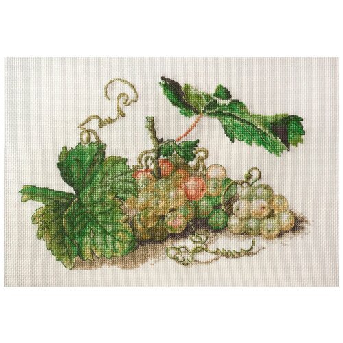 Набор для вышивания Ветка винограда по рисунку Ф. Толстого 27 х 20 см марья искусница 06.001.18