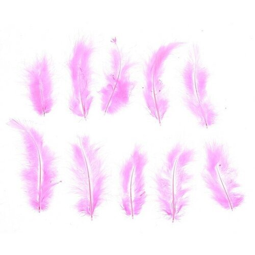 Набор перьев для декора 10 шт, размер 1 шт: 10 × 2 см, цвет розовый, 2 штуки