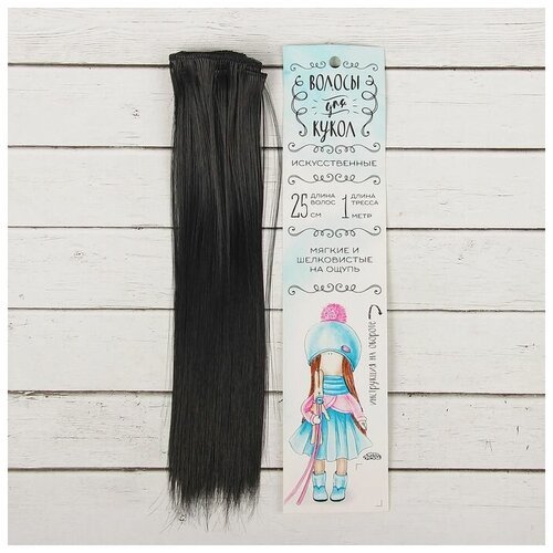 Школа талантов Волосы - тресс для кукол «Прямые» длина волос: 25 см, ширина: 100 см, цвет № 1