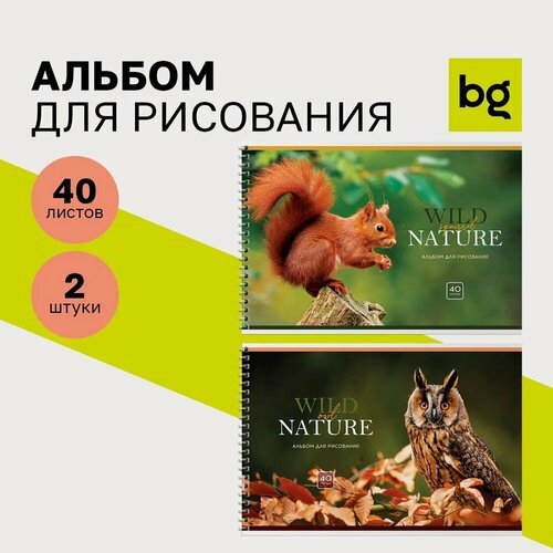 Альбом для рисования 40л, А4, на гребне BG 'Wild nature'