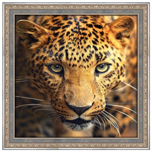 Алмазная живопись Набор алмазной вышивки Портрет леопарда (АЖ-1400) 30x30 см