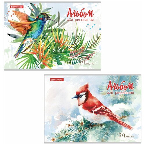 Альбом для рисования А4 24 л, скоба, обложка картон, BRAUBERG, 202х285 мм, 'Райские птички' (2 вида), 105609