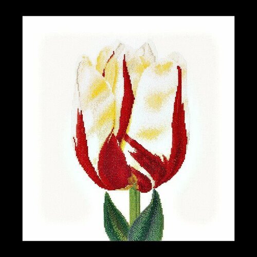 Огненный тюльпан, лен 516
